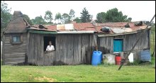 Knysna Township Tours