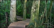 Hiking Trails