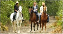 Horseback Riding Trails