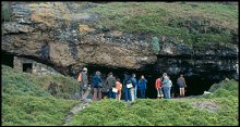 Nelson Bay Cave archaeological site