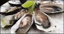 Knysna Oyster Festival