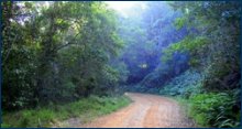Petrus-se-Brand Mountain Bike Trail