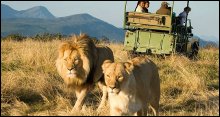 Plettenberg Bay Game Reserve