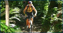 Robbehoek Tours and Trails