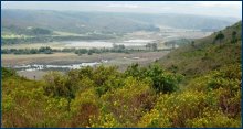 Wittedrift Nature Trail